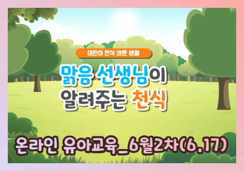갤러리